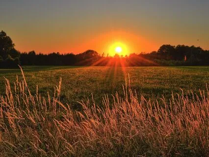 Dreamy Sunrise Meditation Music For Relaxation & Sleep