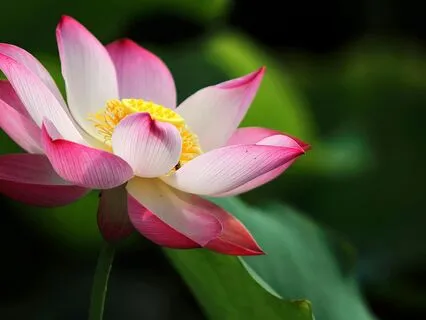 Drift • 432 Hz Music to Soothe the Nervous System