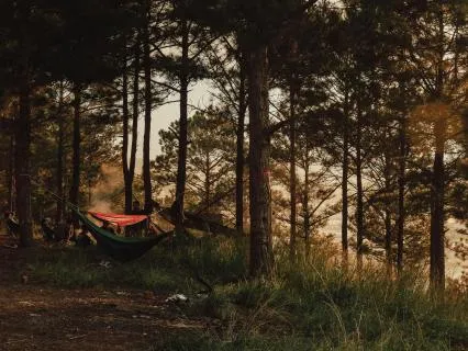 Drift Blissfully Into Sleep