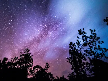 Drift Into A Blissful Sleep