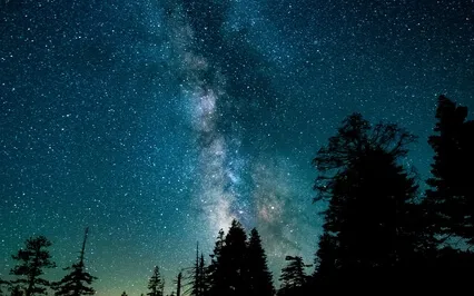 Drift Into A Deep Restorative Sleep 