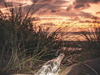 Drift Into A Restful Daytime Sleep