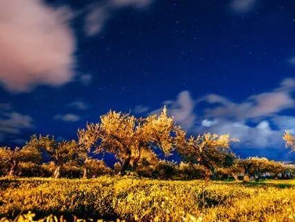 Drift Into Abundance