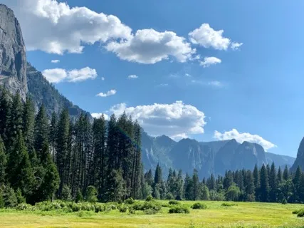 Drift Into Blissful Slumber