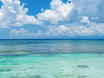 Drift Into Calm, A Tropical Ocean Meditation