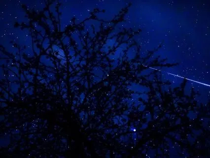 Drift Into Deep Sleep (Extended 8+ Hours)