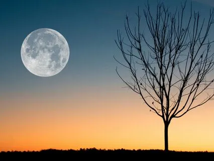 Drift Into Deep Sleep | Nightly Energy Healing