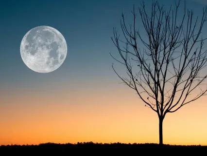 Drift Into Deep Sleep | Nightly Healing (Extended Version)