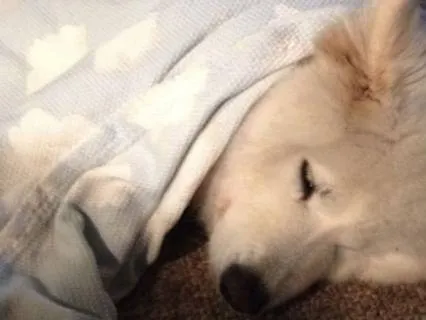 Drift Into Deep Sleep: Nothing Left To Do