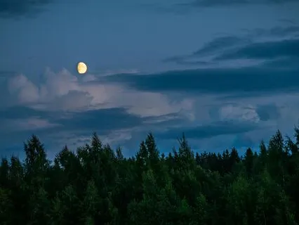 Drift Into Deep Sleep – Soothing Night Music