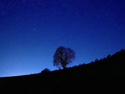 Drift Into Deep Sleep, Stay Asleep — With Delta Waves