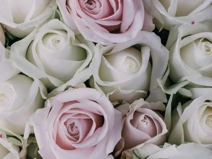 Drift Into Gratitude | A Bedtime Journey For Deep Rest