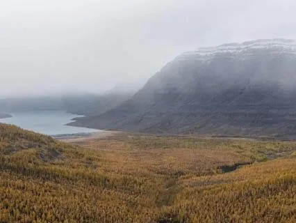 Drift into Quiet Sleep