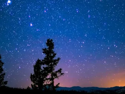 Drift Into Stillness - A Sleep Meditation