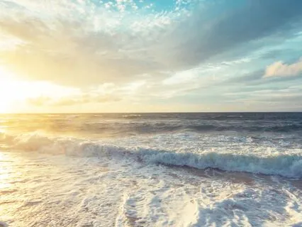 Drift Into Stillness Me