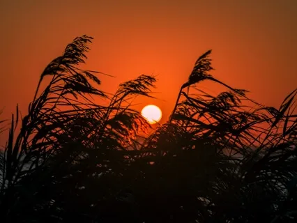 Drift Off (Binaural Music)