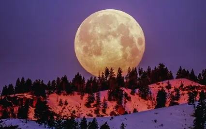 Drift To Bliss - Guided Meditation To Sleep 