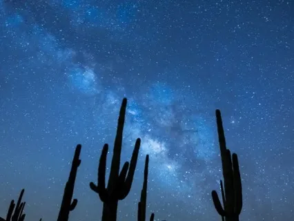 Drift To Sleep Peacefully With Powerful Sound Healing Music