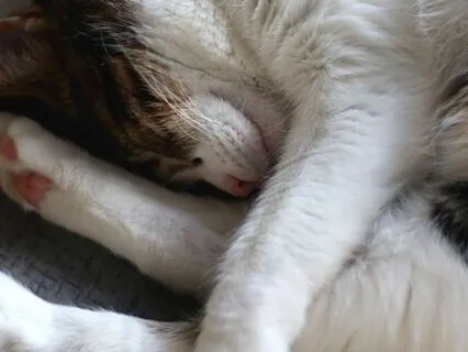 Drift To Sleep: Visualization And Meditation