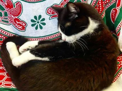 Drifting Into Deep Rest - Take A Five Series