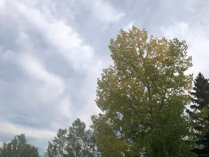 Drifting Off To Sleep