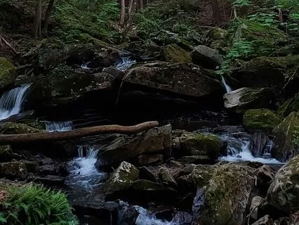 Drifting Sleep Beside The Creek