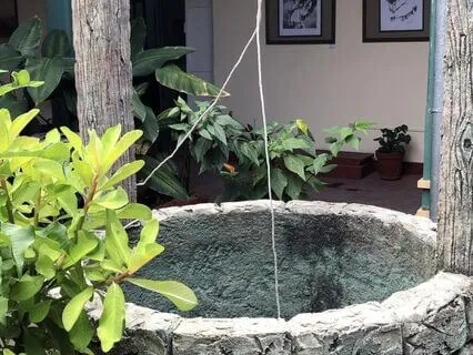 Drink From Your Own Well Meditation