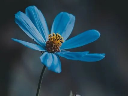 Drinking Deeply From The Present Moment