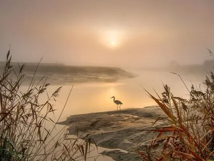 Drinking In Abundance