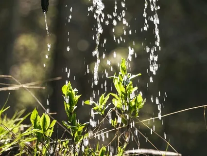 Dripping, Popping & Bubbling Stream Sounds