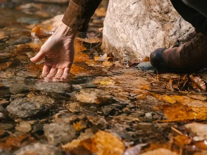 Dripping Water Of Pure Nature