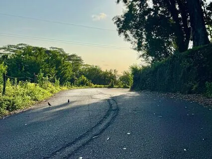 Drive & Breathe: Inhaling Positivity