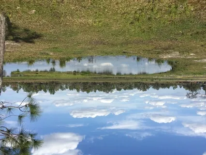 Driven To Drawn Yoga Nidra