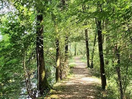 Driving The Soul To An Inner Shore (1 Hour)