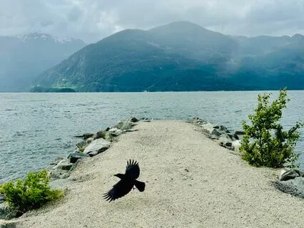 Driving Travel Meditation - Self Gratitude