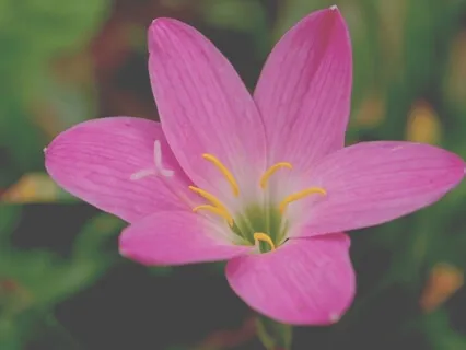 Drop Anxiety: Affirmations For Transformation