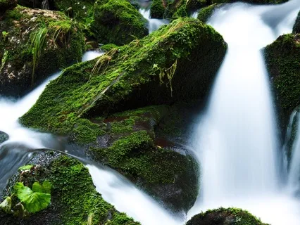 Here & Now - Binaural Beats