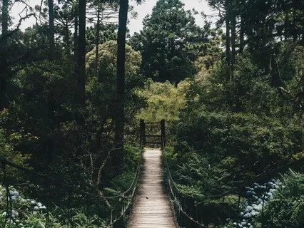 Dropping In: Body + Breath