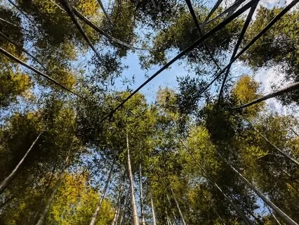 Dropping In: The Essence Of Now