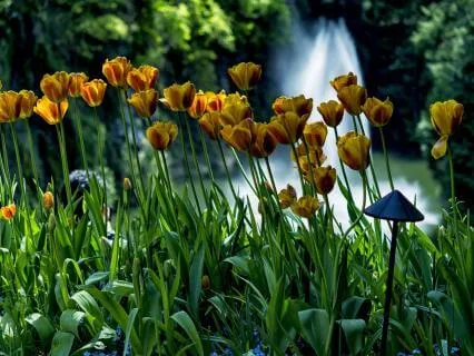 Dropping In To Gratitude Place