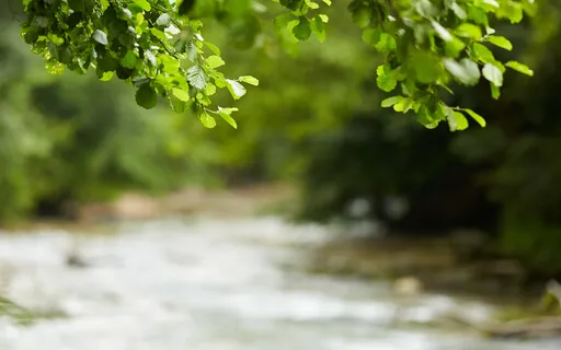 Dropping Into Presence