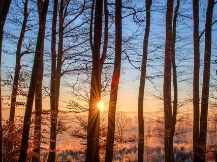 Dropping Into The Heart Space