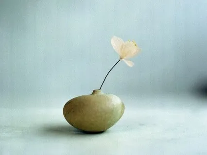 Dropping Into This Moment