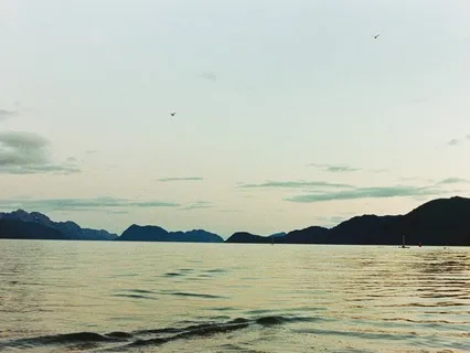 Drops Of Wisdom: Let The Dust Settle