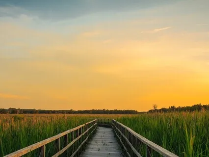 Drum Journey Into The Middle Realm - Land / Life Situation