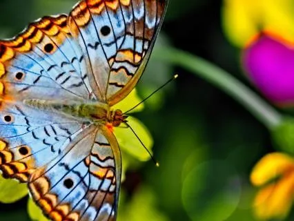 Drum Roll A Poem About Self-Love and Body Acceptance