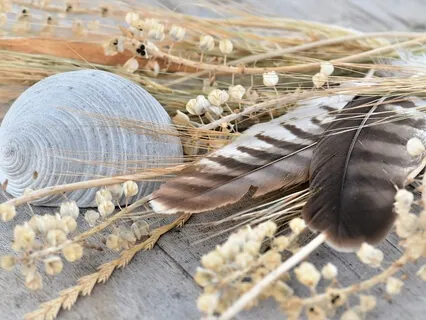 Drums for Meditation: The Dance of Compassion