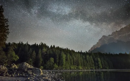 "Dryadic Lullaby" - Calming Music With Nature Sounds