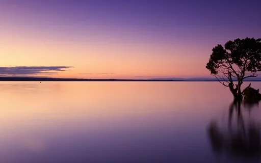 Dual Gratitude Prayer W/ My Brother @Tramonmczeal 12-28