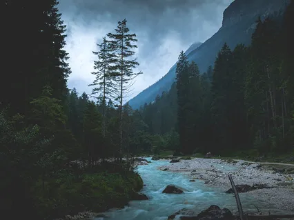 Duerma en Minutos con los Relajantes Sonidos del Río